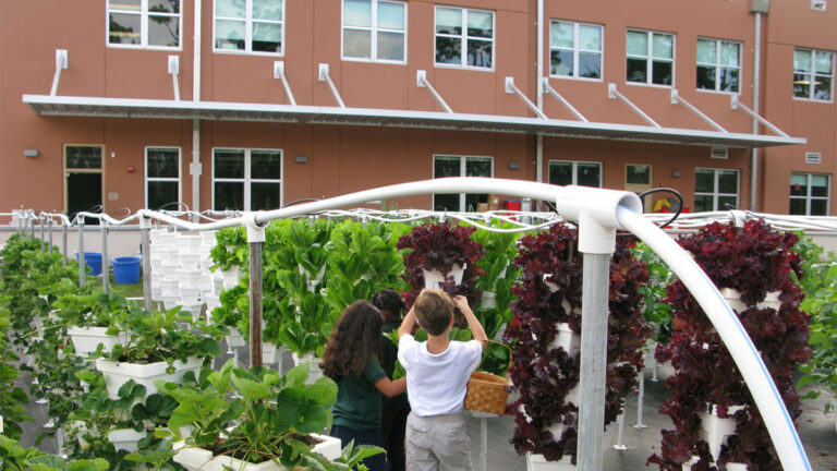 Pine Jog Elementary School 00004