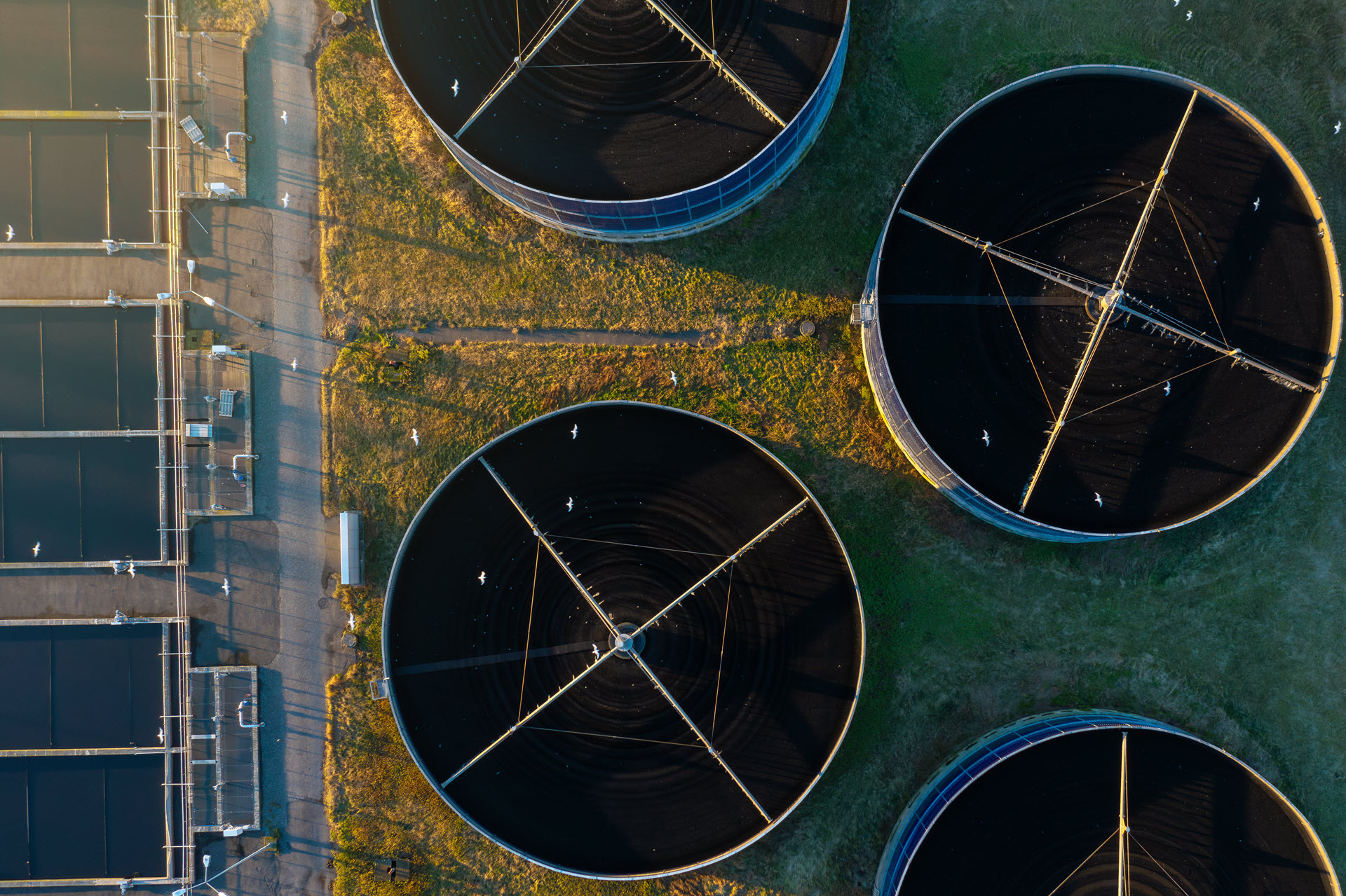 AdobeStock 705215062