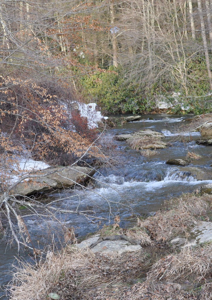 Shawneehaw Creek
